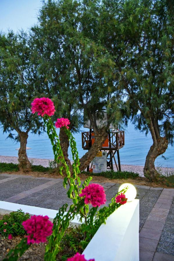 Aliki Studios Paralia Agias Foteinis Exterior photo