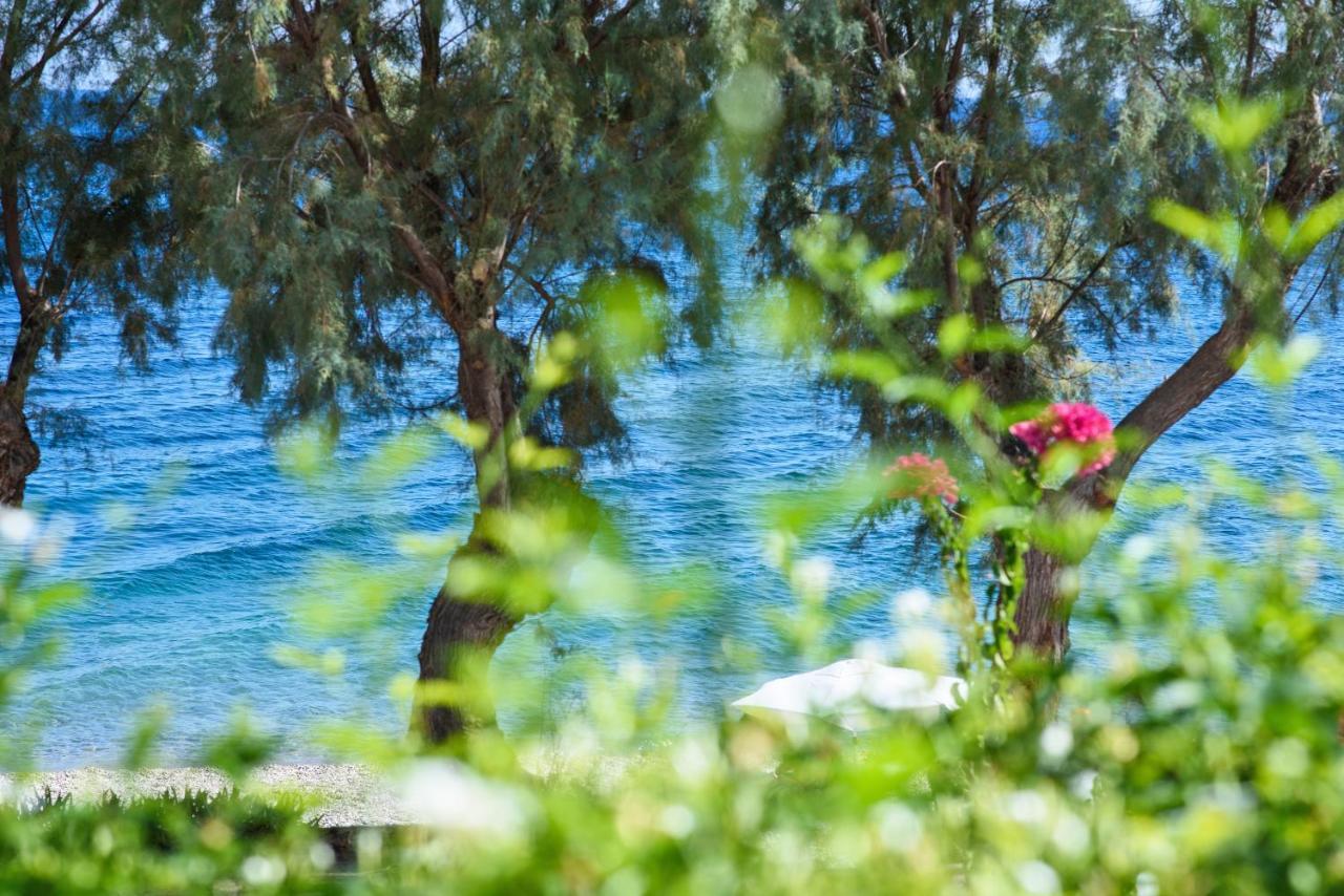 Aliki Studios Paralia Agias Foteinis Exterior photo